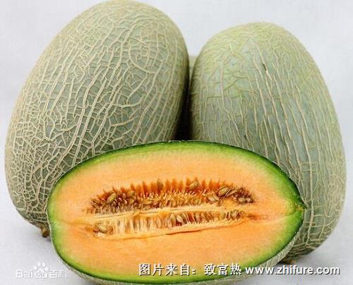 哈密瓜常見病的防治