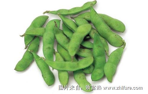 毛豆的栽培技術(shù)