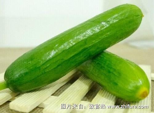 水果黃瓜種植技巧