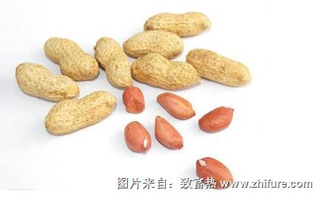 花生脫殼機使用要求