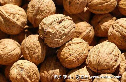 核桃樹的科學栽培和管理技術