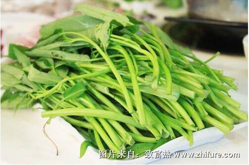 空心菜有什么病蟲害需要防治么?