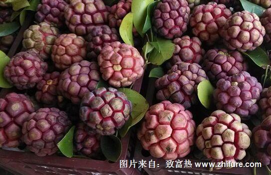 布福娜功效與作用，布福娜怎么吃，布福娜營養價值