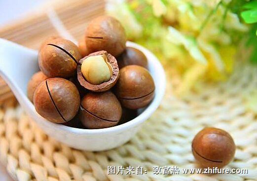 夏威夷堅果怎么種？