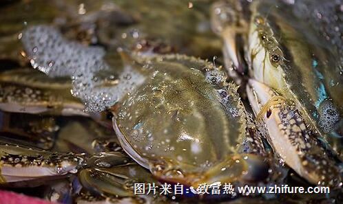 近期威海水產品市場整體交易較為活躍