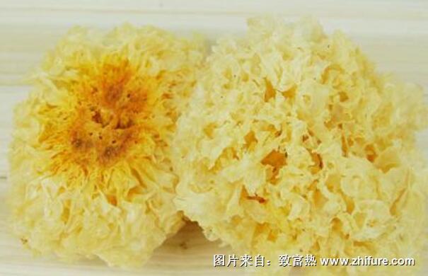 種植銀耳的技術