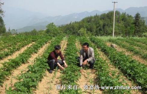 辦家庭農場補貼能拿多少？