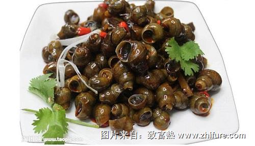 田螺有寄生蟲嗎？