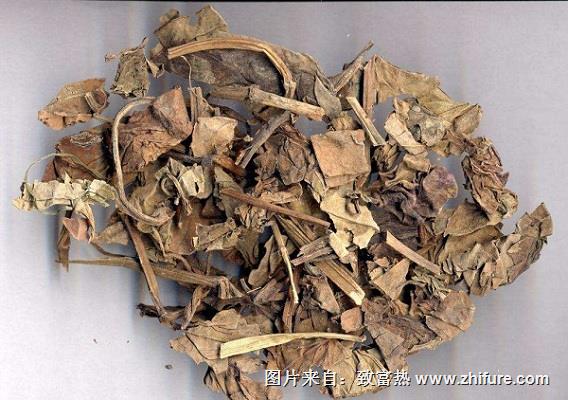 名貴中藥材的介紹