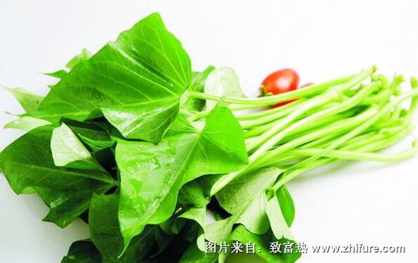 甘薯葉的加工制作方法