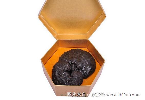 靈芝保健酒的制作工藝