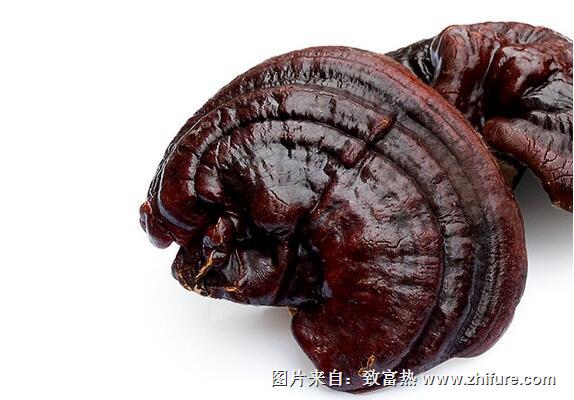 靈芝保健顆粒沖劑的制作方法