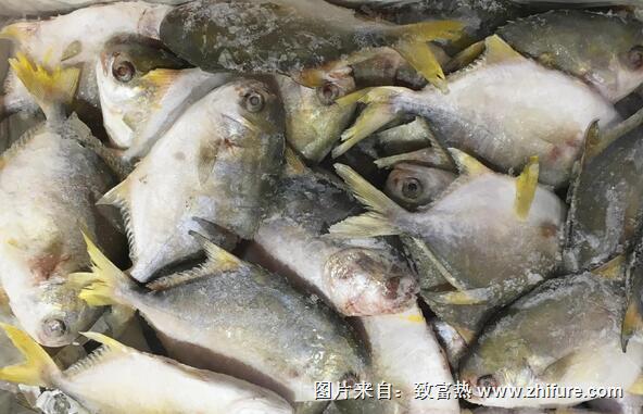 冷凍魚加工方法