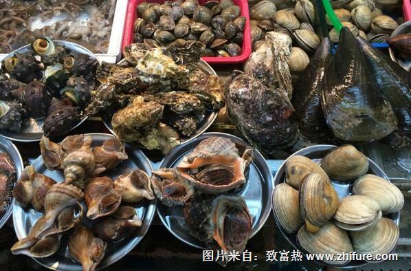 海鮮保養(yǎng)員的致富案例