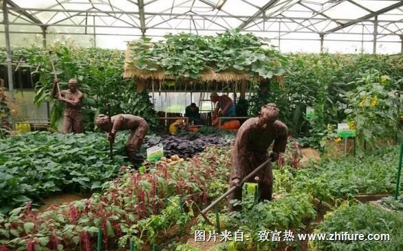 蔬菜導游創業新模式