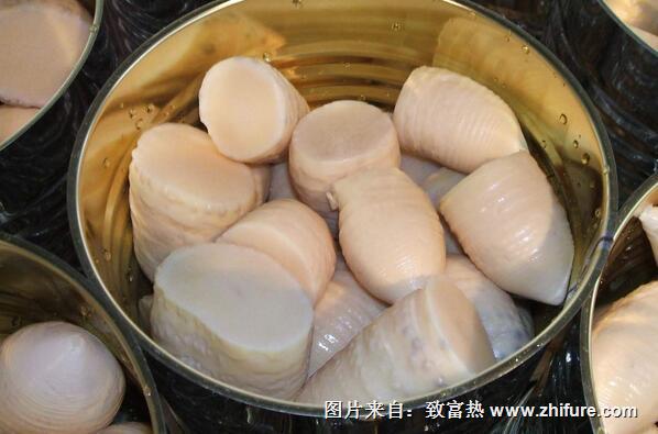 冬筍罐頭的制作流程