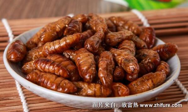 蠶蛹罐頭的制作工藝