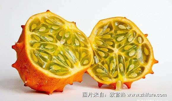 種植火參果的效益