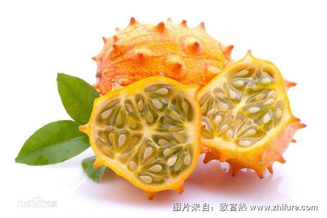 火參果的種植技術(shù)