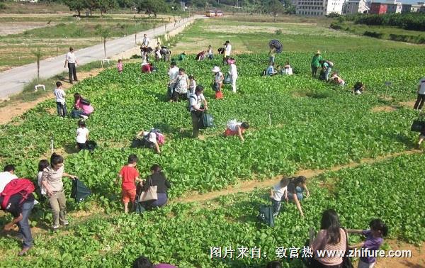 兩個創(chuàng)業(yè)經(jīng)歷和經(jīng)驗分享