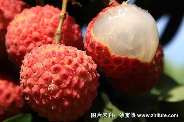 挑選荔枝的方法