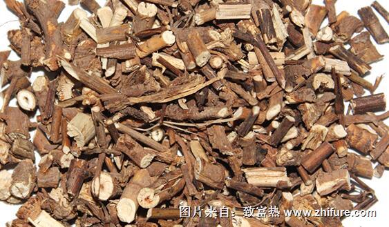 種植前景好的中藥