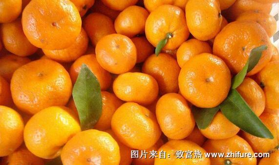 柑橘的儲藏與保鮮方法