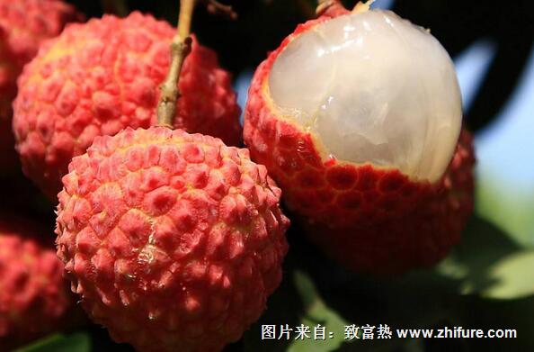 荔枝保鮮儲存方法