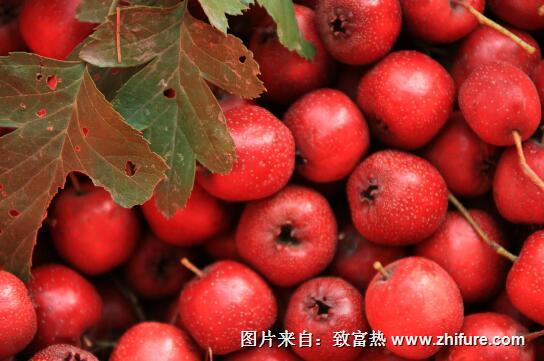 山楂的儲藏方法