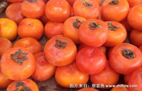 柿子的儲藏方法