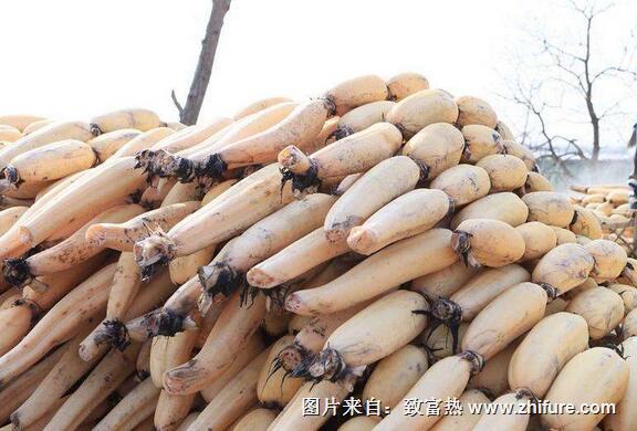 蓮藕的保存方法