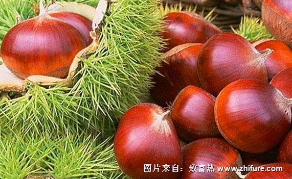 板栗的儲藏方法