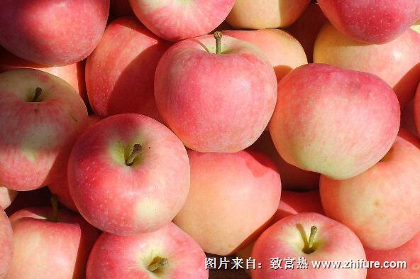 蘋果的儲藏方法