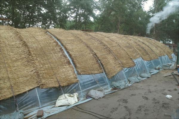 簡(jiǎn)易大棚的建造要求