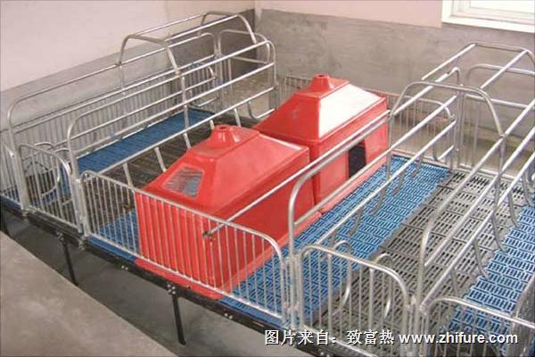 全自動養(yǎng)豬設(shè)備價格