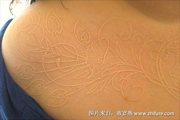 鴿子血紋身價格