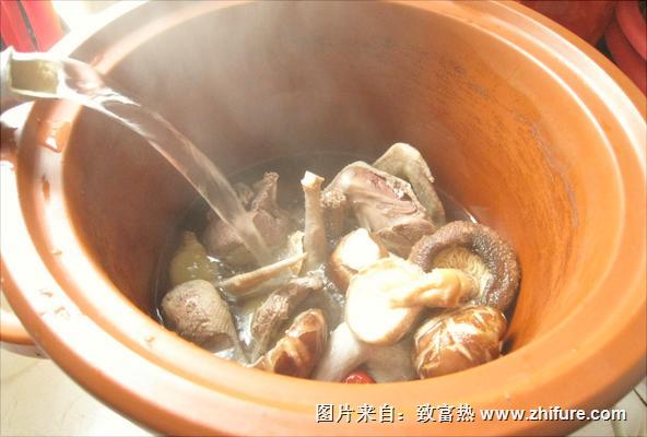 鴿子燉什么補氣血？