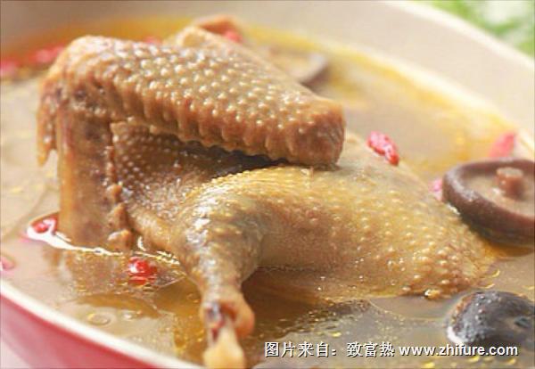 鴿子燉什么補腎？