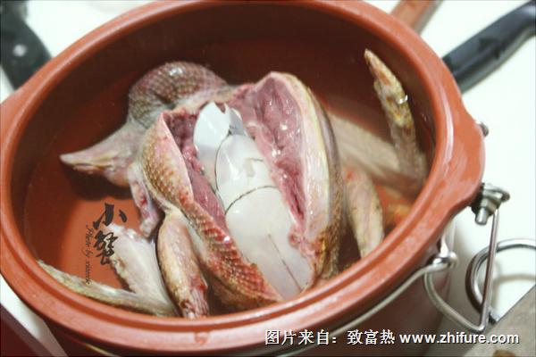 孕婦可以吃鴿子湯嗎?