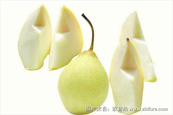 孕婦可以吃鴿子湯嗎?