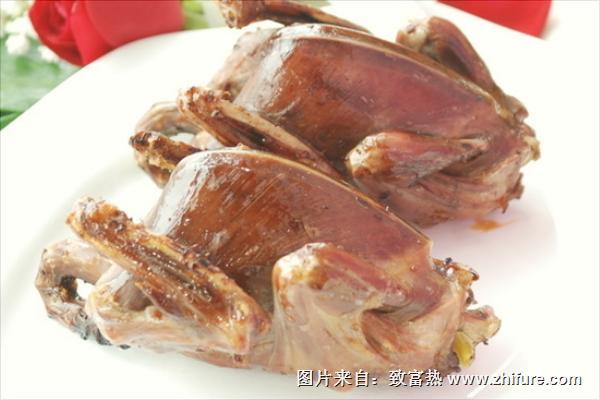 鴿子的營養價值與功效及禁忌