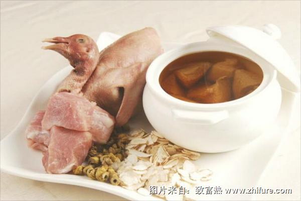 鴿子的營養價值與功效及禁忌