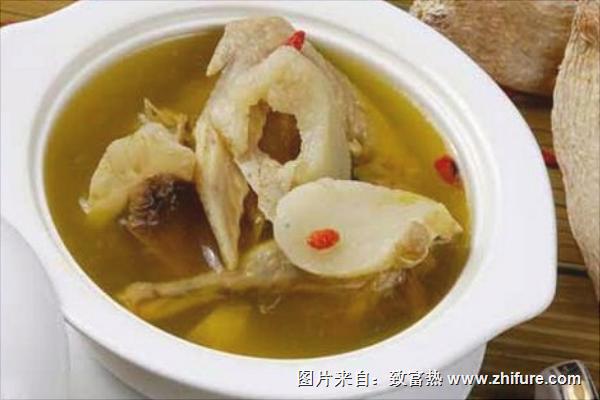 鴿子的營養價值與功效及禁忌