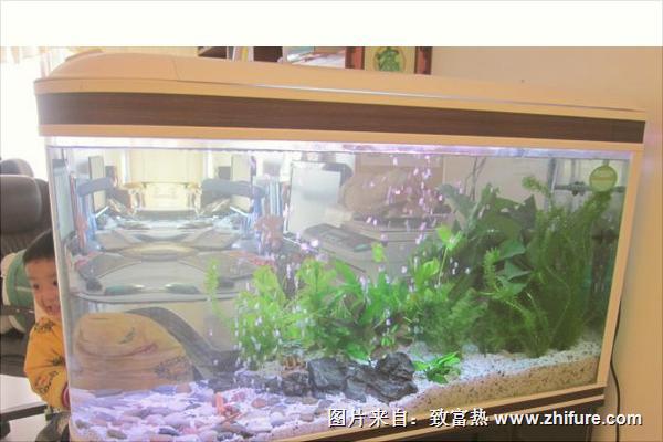 養(yǎng)魚水澆花好嗎？