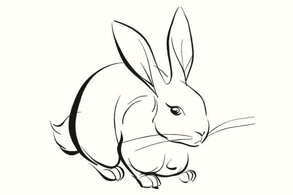 兔子簡筆畫怎么畫步驟?兔子簡筆畫圖片大全