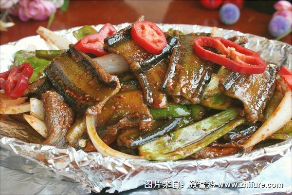 怎樣養(yǎng)黃鱔?