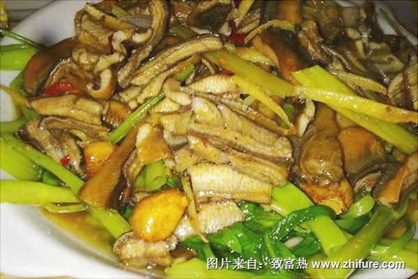 黃鱔不能和什么一起吃？