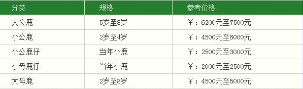 養鹿好養嗎一只多少錢？