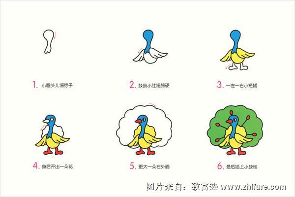 孔雀簡筆畫帶顏色（畫圖步驟）