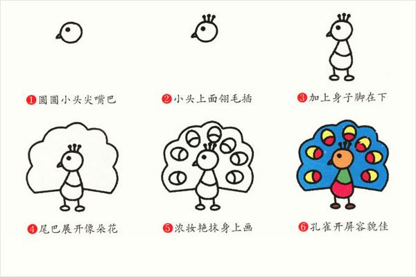 孔雀簡筆畫帶顏色(畫圖步驟)
